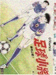 综艺分类